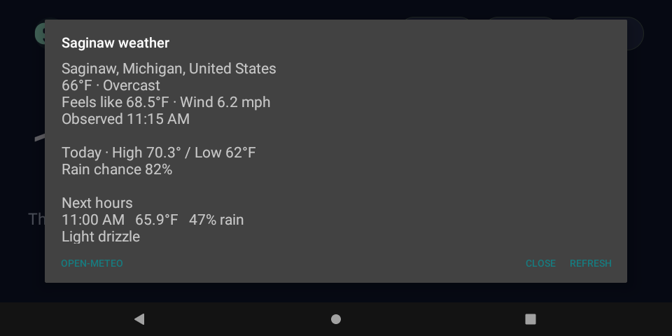The EchoGPT weather panel showing Saginaw, Michigan: current conditions, today's high and low, rain chance and the next hours